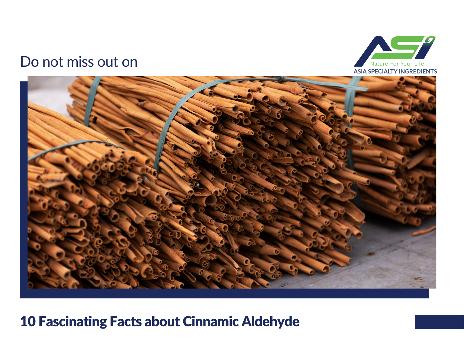 10 Facts about Cinnamic Aldehyde