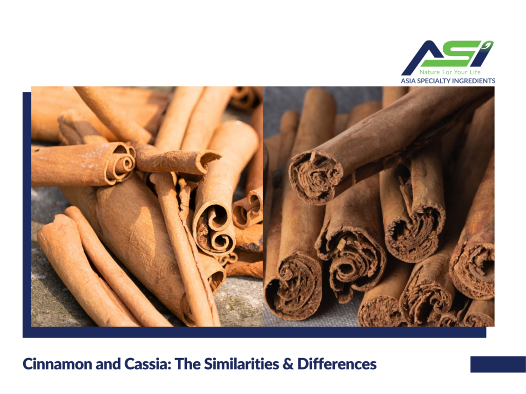 Cinnamon and Cassia: The Similarities & Differences