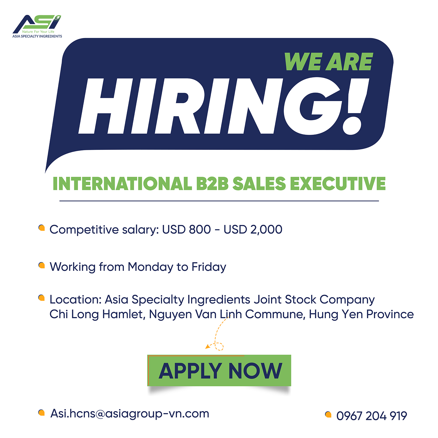 Recruiting International B2B Sales Executive